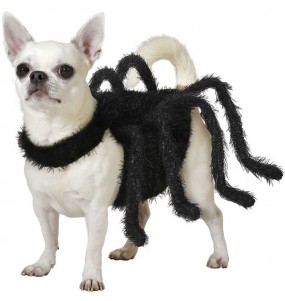 Costume pour chien Araignée
